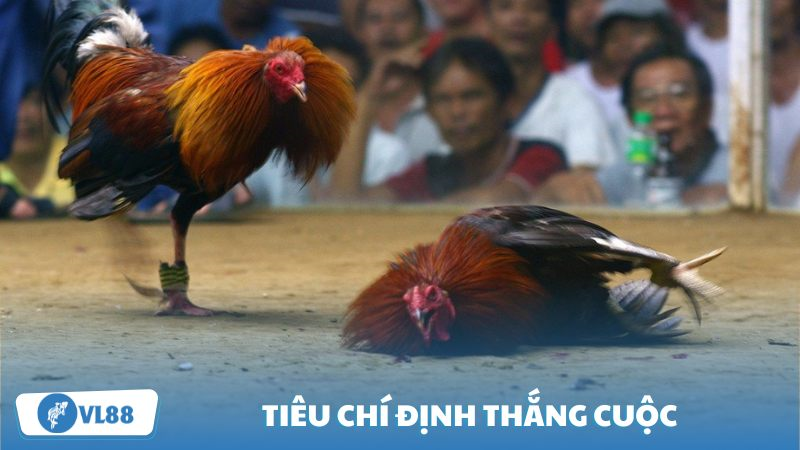 Tiêu chí định thắng cuộc